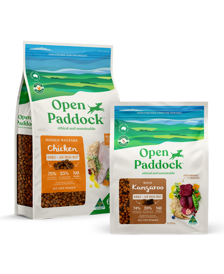 Food for dogs