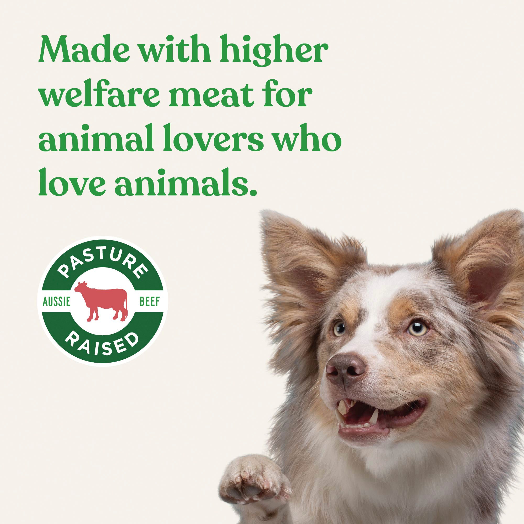 Air Dried Pasture Raised Beef Treats