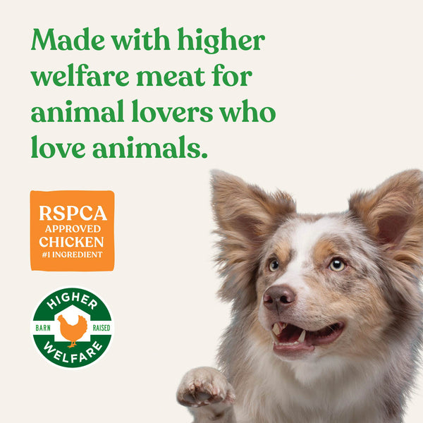 Air Dried Higher Welfare Chicken Treats