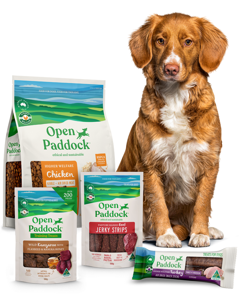 Open nature shop brand dog food